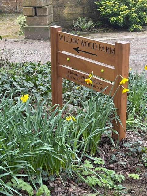 Image #1 from Lyndsey