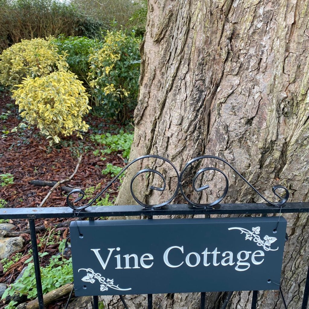 Image #1 from Dorothy