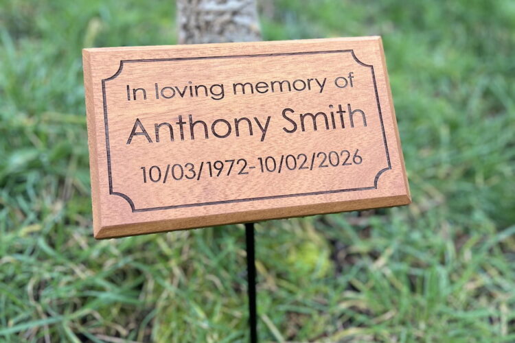 IMG_1221 (1) IMG_1221 (1)